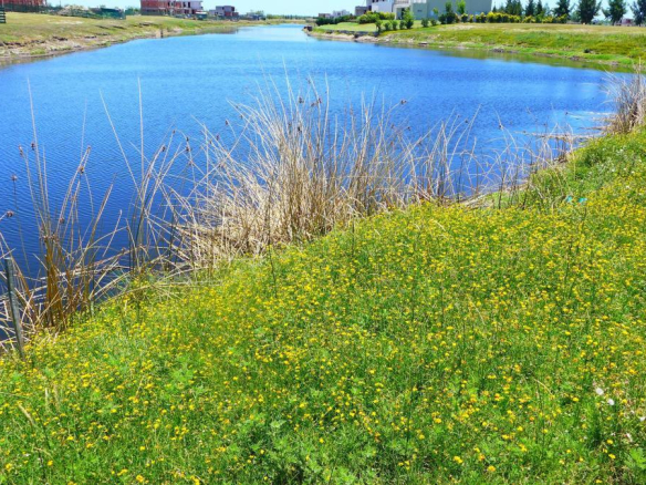 Venta Lote a Laguna Barrio El Naudir con proyecto incluido