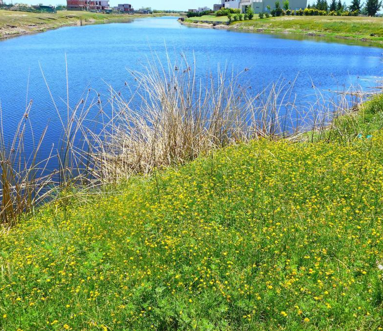 Venta Lote a Laguna Barrio El Naudir con proyecto incluido