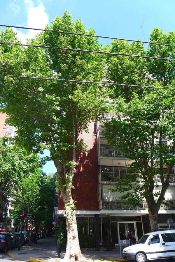 Venta, Echeverria 2200, Departamento Semipiso de 3 Dormitorios