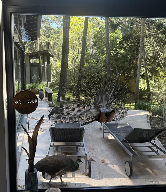 Alquiler Cariló Casa 5 dormitorios Moderna en el Bosque