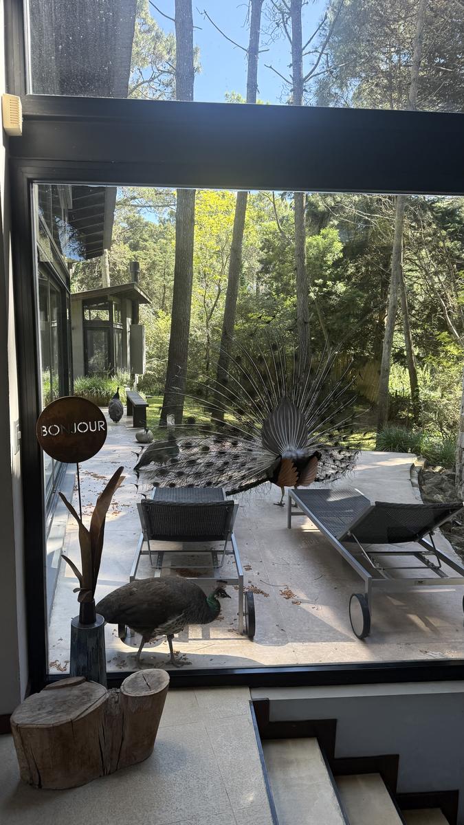 Alquiler Cariló Casa 5 dormitorios Moderna en el Bosque